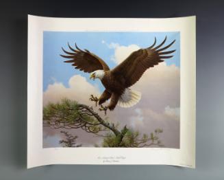 1988.105; Gerald R. Ford Presidential Library & Museum, Grand Rapids, MI